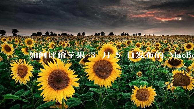 如何评价苹果 3 月 5 日发布的 MacBook Air M4，相比前代有哪些提升？