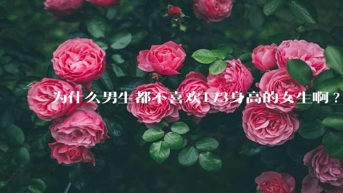 为什么男生都不喜欢173身高的女生啊?