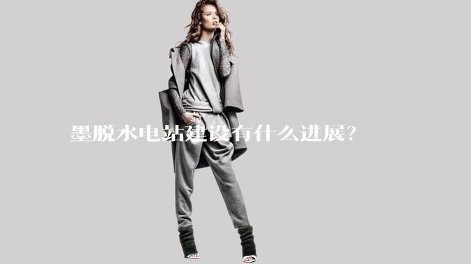 墨脱水电站建设有什么进展？